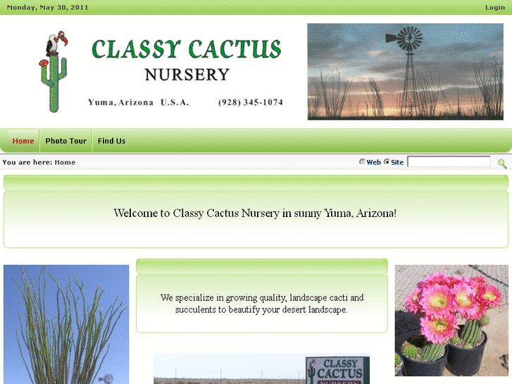 www.classycactus.com