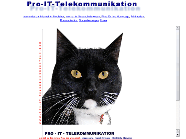 www.pro-it-telekommunikation.com