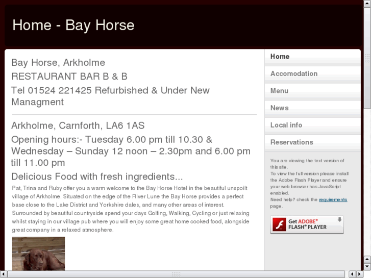 www.bay-horse.com