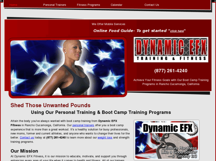 www.dynamicefx.com