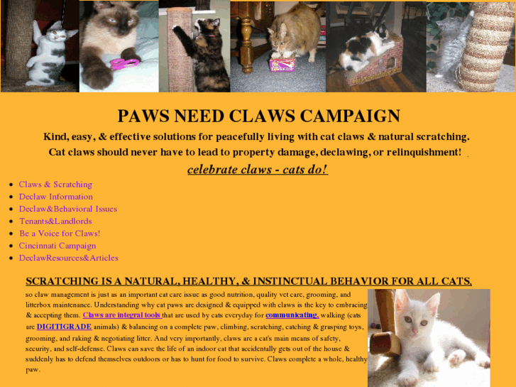 www.pawsneedclaws.com