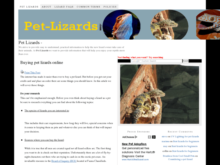 www.pet-lizards.com