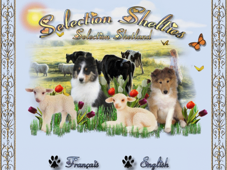 www.selectionshelties.com