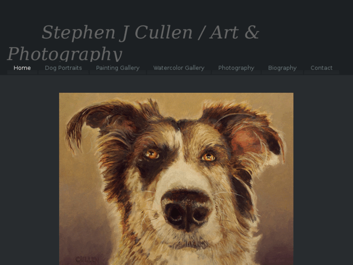 www.stephenjcullen.com