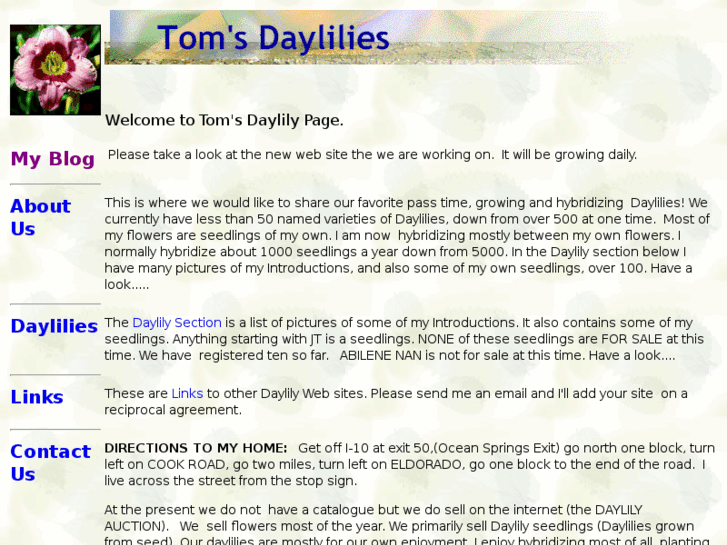 www.tomsdaylilies.com