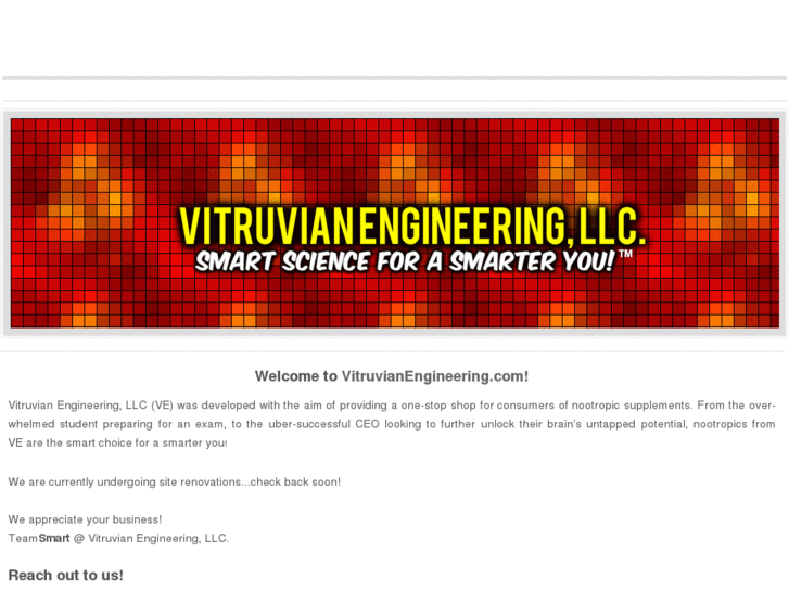 www.vitruvianengineering.com