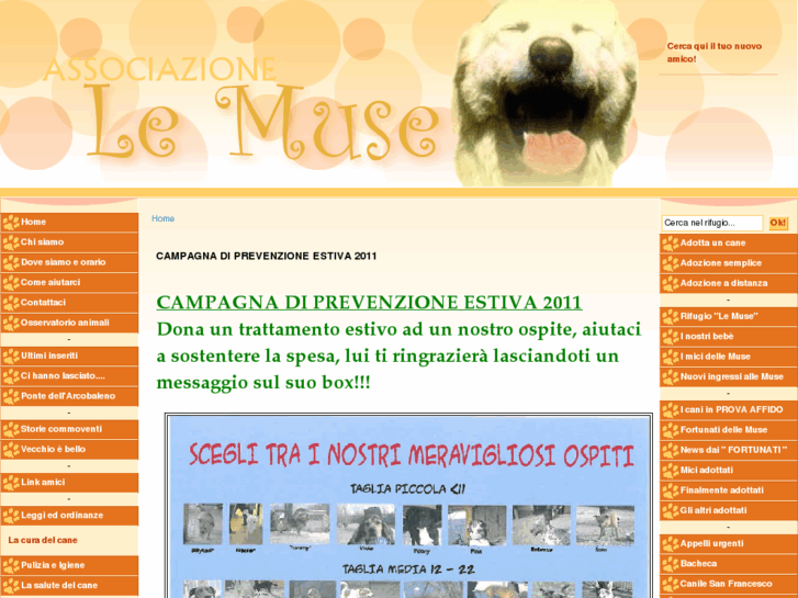 www.associazionelemuse.com