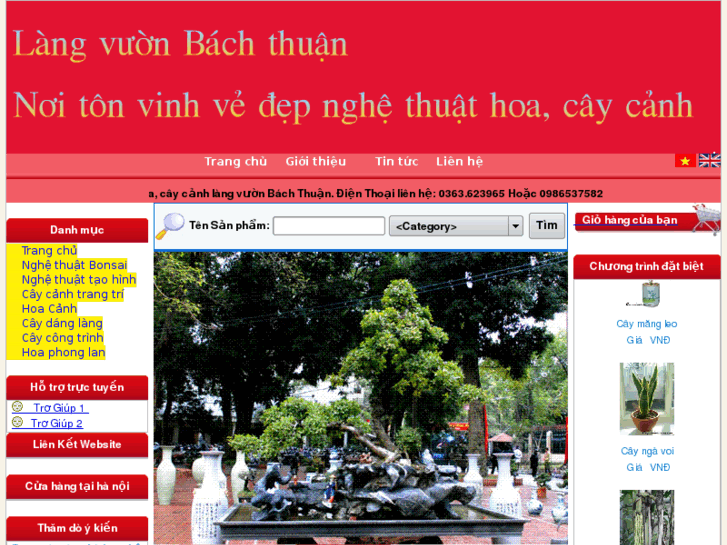 www.bachthuan.com