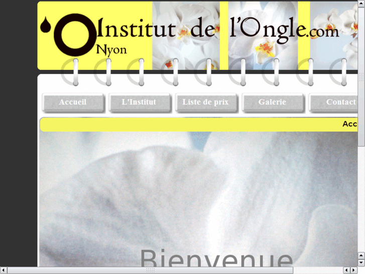 www.institut-de-longle.com