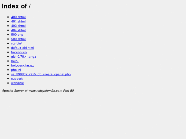www.netsystem2k.com