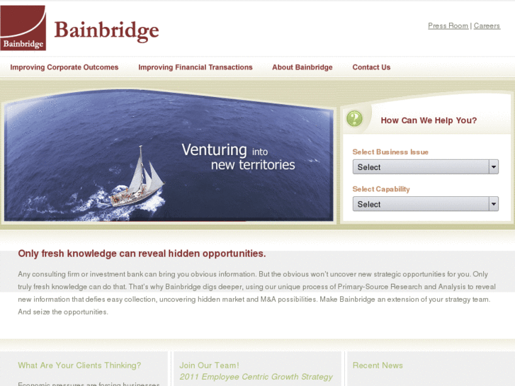 www.bainbridgeconsulting.net