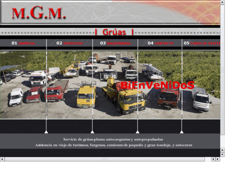 www.gruasmgm.com