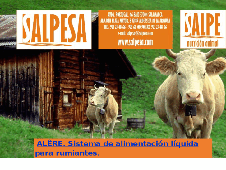 www.salpesa.com