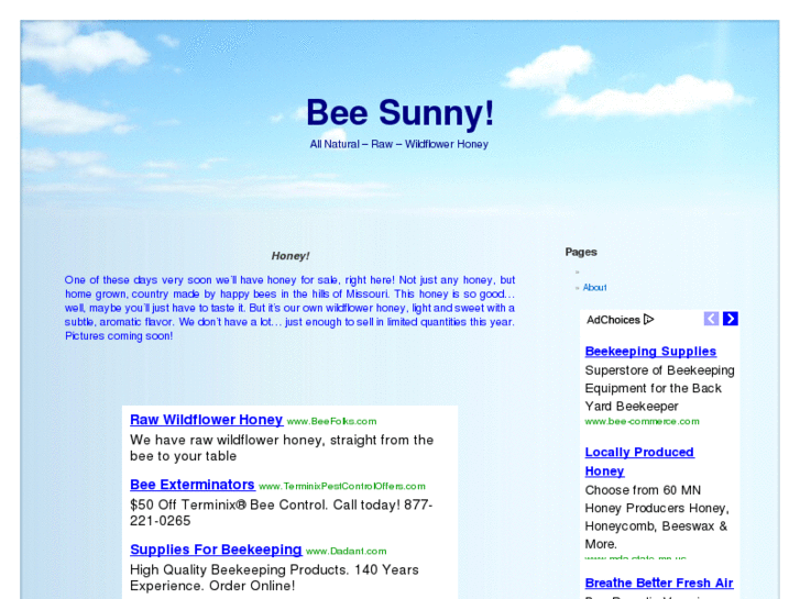 www.beesunny.com