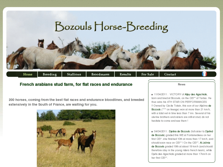 www.bozoulsarabianstud.com