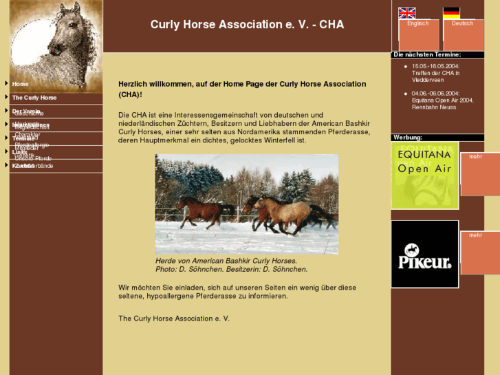 www.curly-horse-association.com