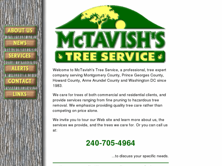 www.mctavishstree.com