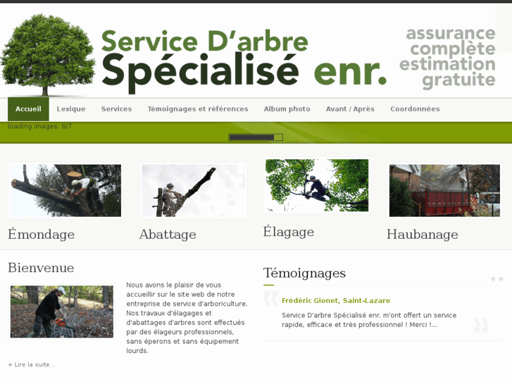 www.servicedarbrespecialise.com