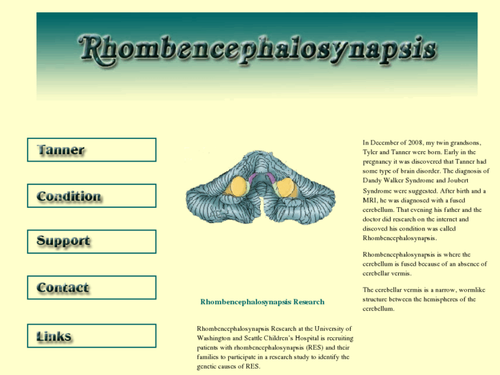 www.rhombencephalosynapsis.org