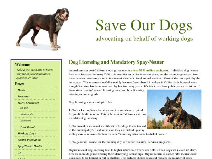 www.saveourdogs.net