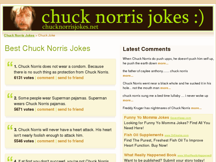 www.chucknorrisjokes.net