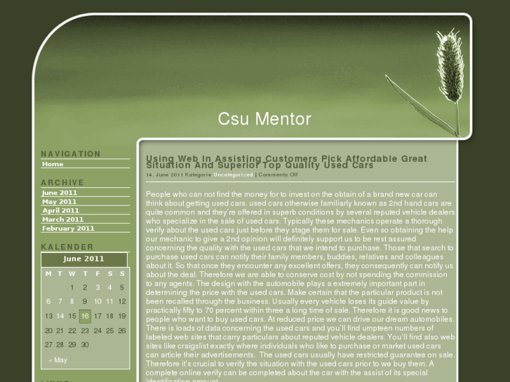 www.csumentor.info