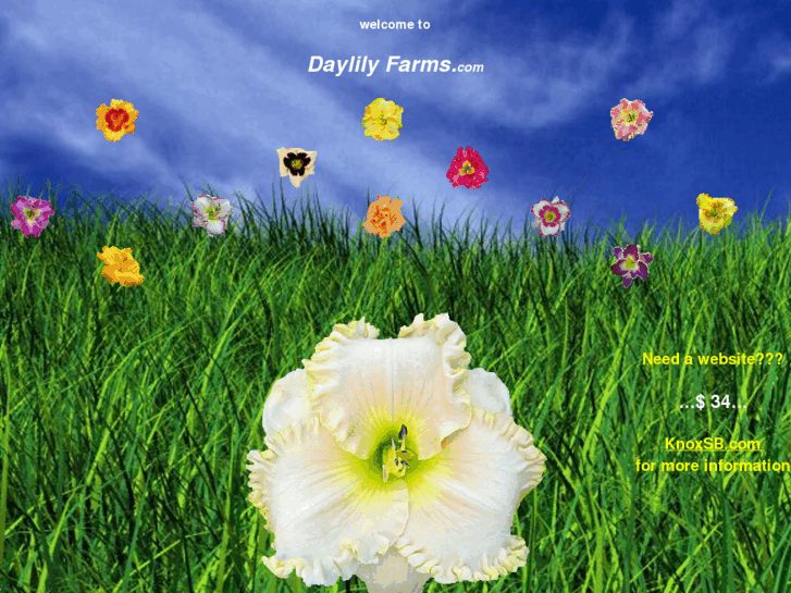 www.daylilyfarms.com