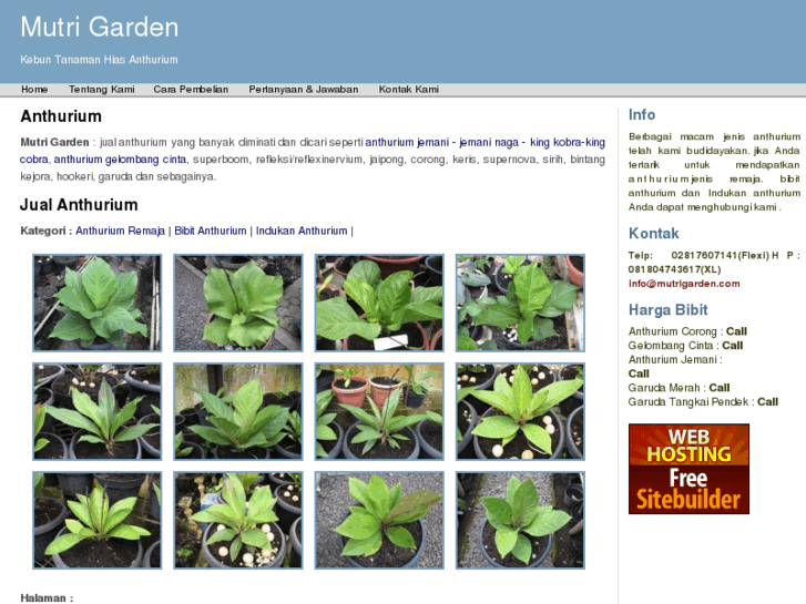 www.mutrigarden.com