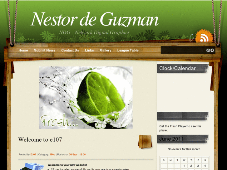 www.nestordeguzman.com