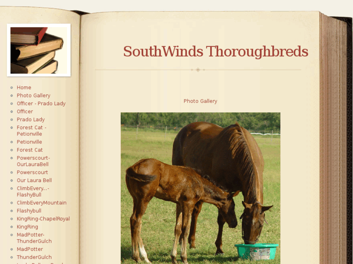 www.southwindsthoroughbreds.com