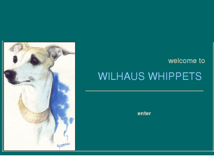 www.wilhauswhippets.com