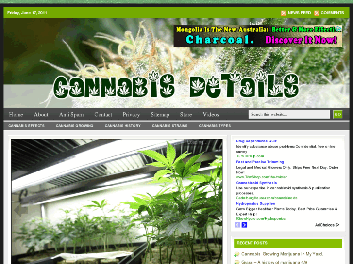 www.cannabisdetails.com