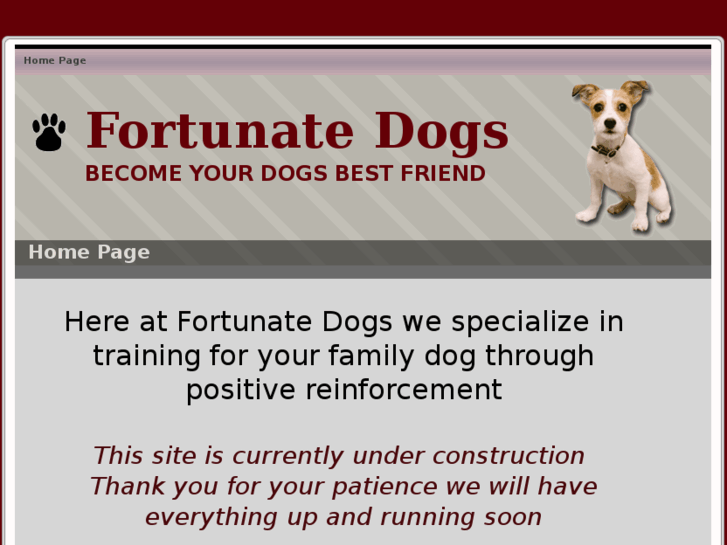 www.fortunatedogs.com