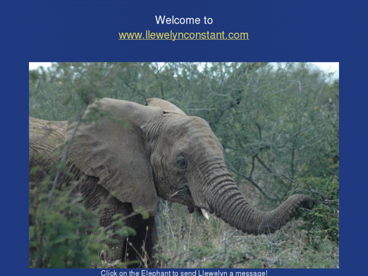 www.llewelynconstant.com