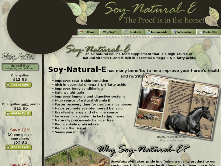 www.soynaturale.com