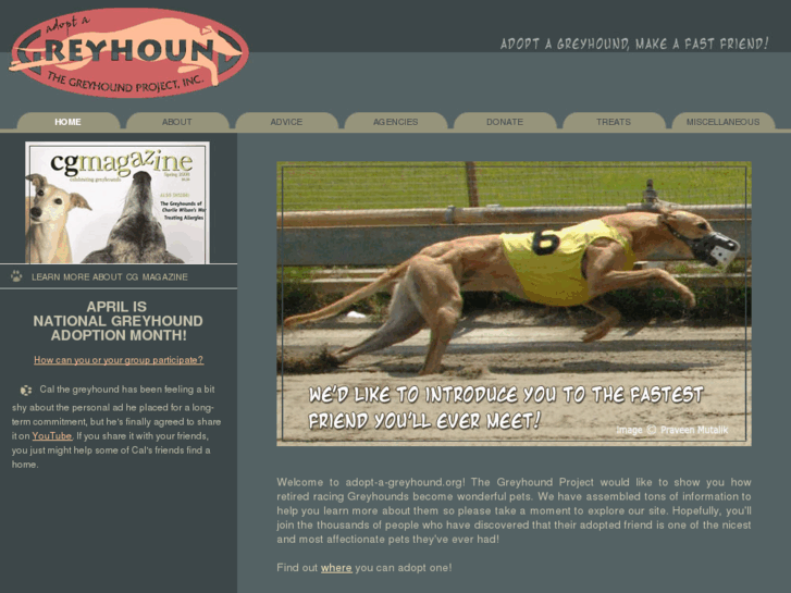 www.adopt-a-greyhound.org