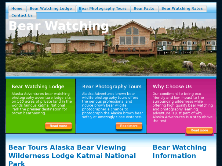 www.bearviewinglodge.com