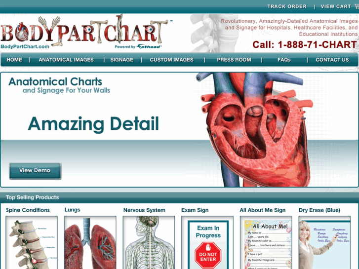 www.bodypartchart.com