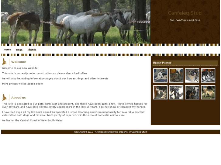 www.canfeleqstud.com