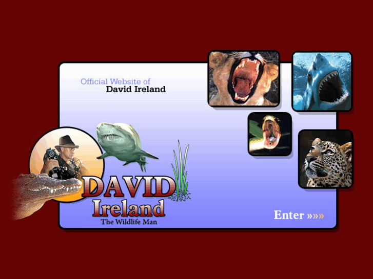 www.davidireland.com