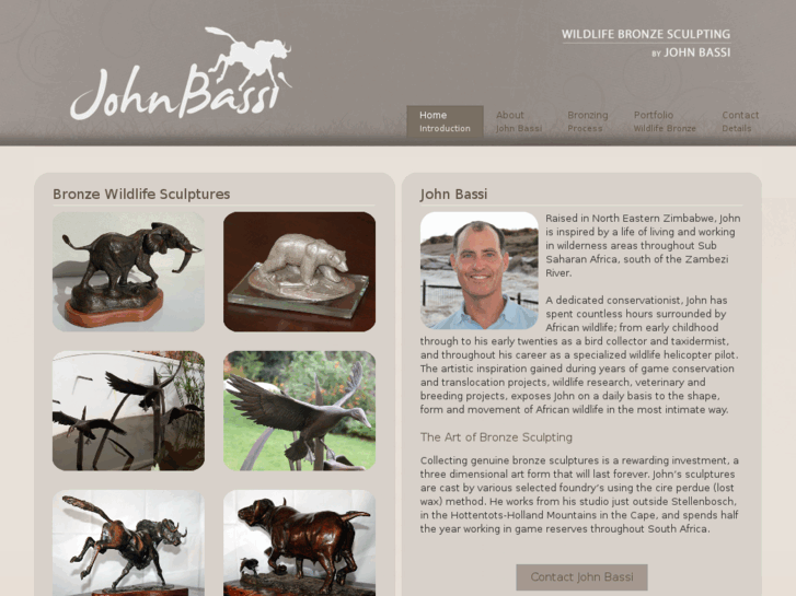 www.johnbassi.com