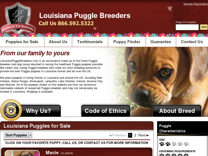 www.louisianapugglebreeders.com