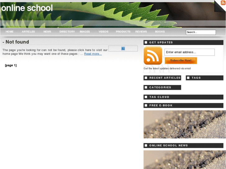 www.online-school.info