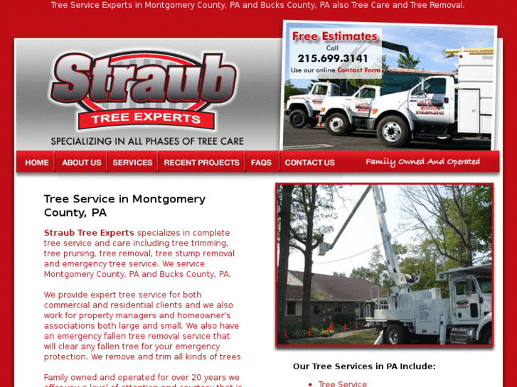 www.straubtreeexperts.com