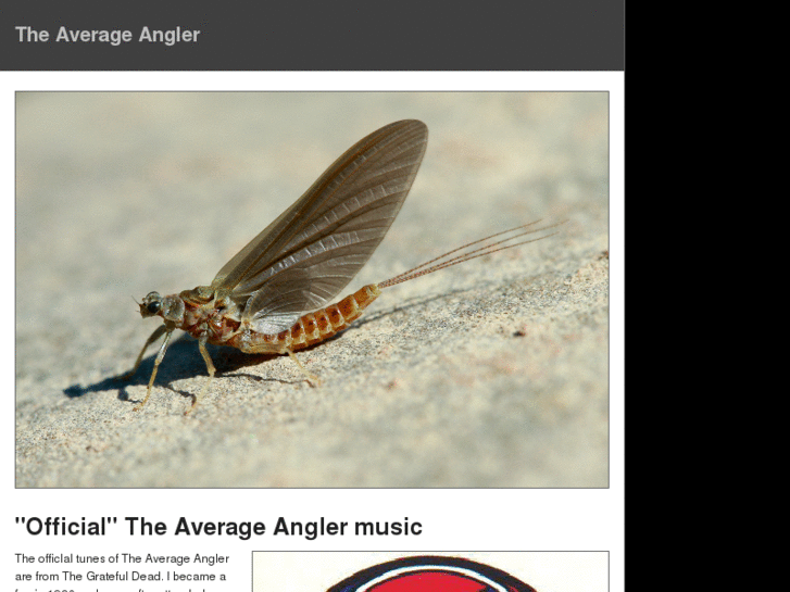 www.theaverageangler.com