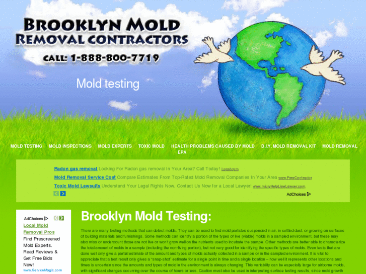 www.brooklynmoldremovalcontractors.com