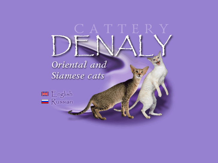 www.denaly.ru