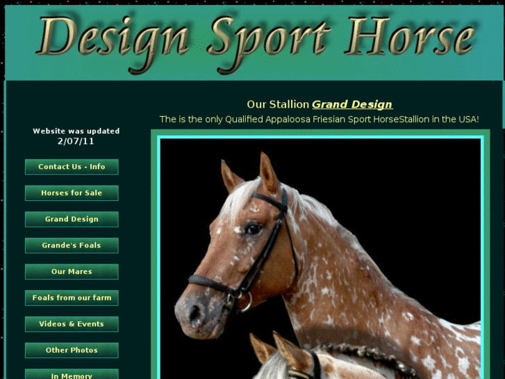 www.designsporthorse.com