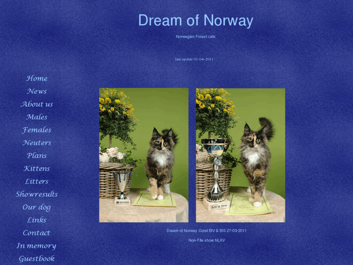 www.dreamofnorway.com