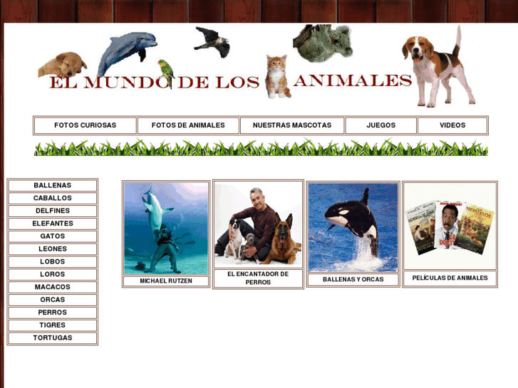 www.elmundodelosanimales.net